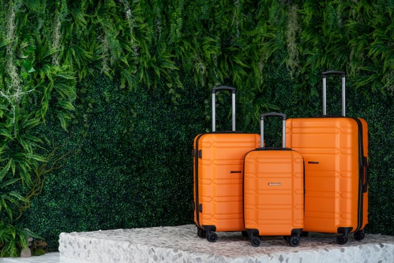 How to Choose the Perfect Luggage for Your Travels