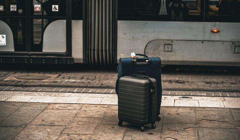 The Ultimate Guide to Stylish and Functional Luggage